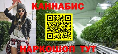 шишки Кимры
