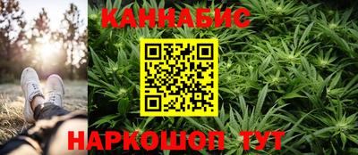 шишки Кимры