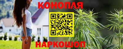 мяу мяу мука Кинель