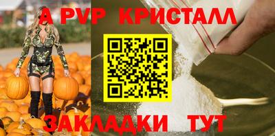 шишки Кимры