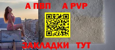 шишки Кимры