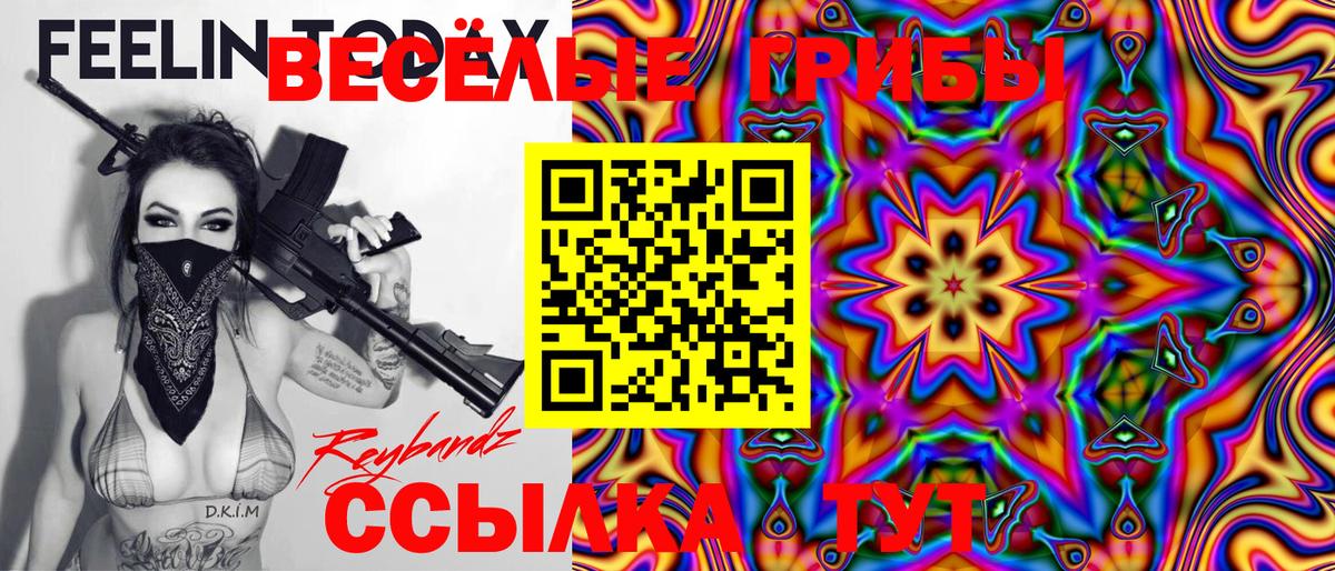 Невинномысск  Галлюциногенные грибы GOLDEN TEACHER  Псилоцибиновые грибы MAGIC MUSHROOMS  Вход с VPN 
